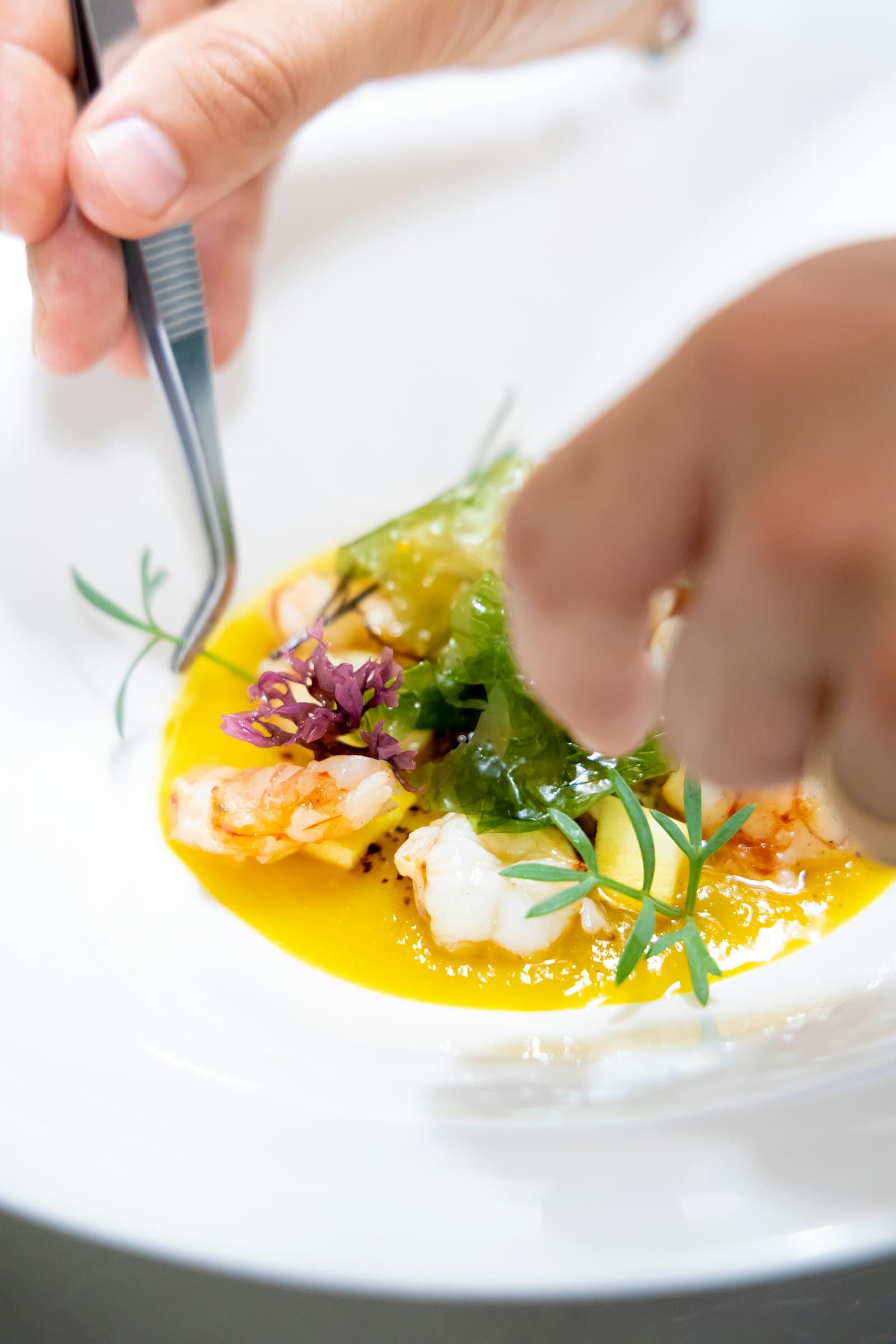 Emplatado de alta cocina con producto de temporada
